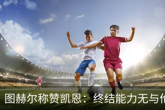 图赫尔称赞凯恩：终结能力无与伦比，找不到他的替代者