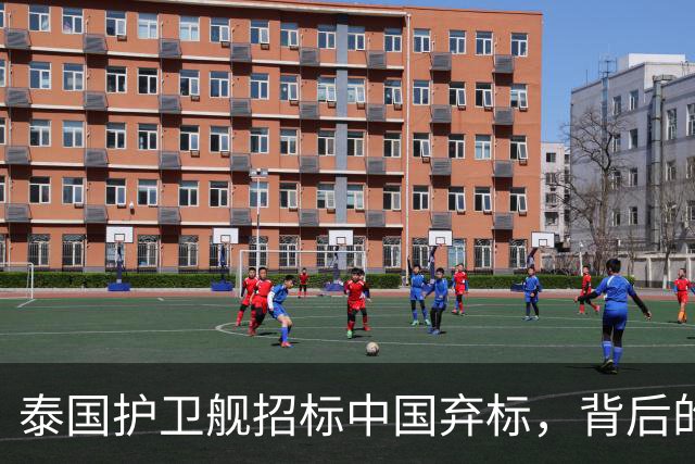 泰国护卫舰招标中国弃标，背后的考量与市场转变
